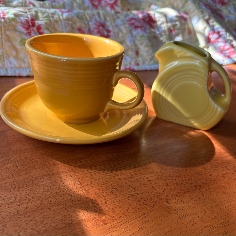 Fiesta: cup & saucer
